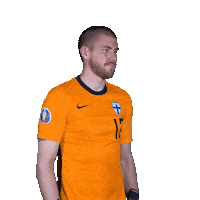 Euro Cup Football Sticker by Huuhkajat