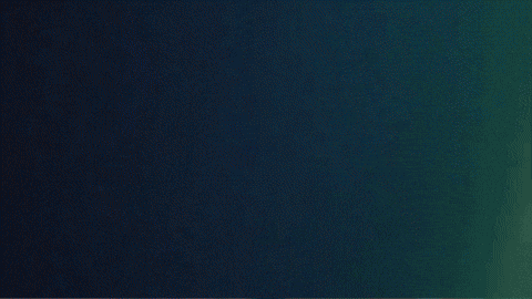 Rauwbus GIF by RAUWcc