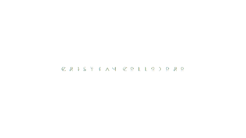 cristiancollodoro giphyupload dj techno acid Sticker