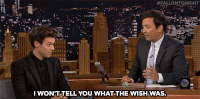 jimmy fallon GIF by The Tonight Show Starring Jimmy Fallon