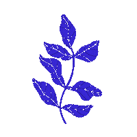 Plant Sticker
