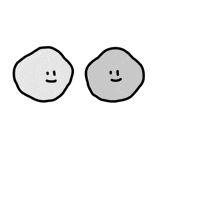 Couple Love GIF