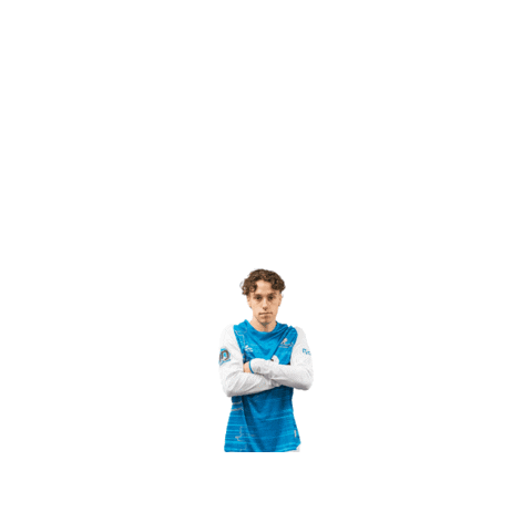 Riseasone Sticker by St. Louis Ambush