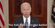 Joe Biden GIF by GIPHY News