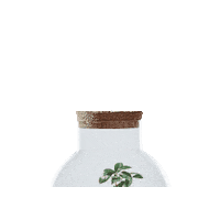 Terrarium Sticker by Green Bubble
