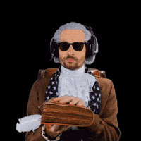 San Francisco 49Ers GIF