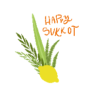 Shake It Sticker by Chabad on Campus