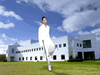 betcha by golly wow prince GIF