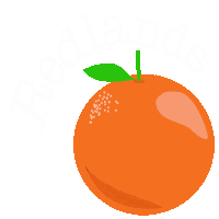 Orange California Sticker by Tom Windeknecht
