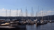 idaho GIF