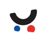 pigu_lt christmas gift lietuva latvija Sticker