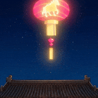 New Year Fire GIF by birb
