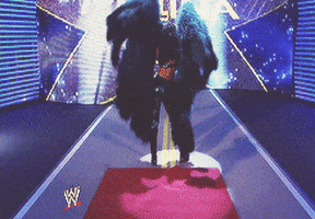 melina perez wwe GIF