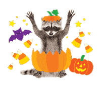Jack O Lantern Halloween Sticker by Schoolgirl Style Classroom Decor