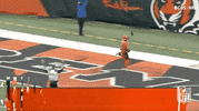 Cincinnati Bengals Football GIF by NFL