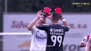 sl benfica hug GIF by Sport Lisboa e Benfica