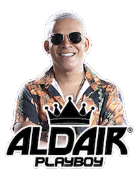 luanpromocoes wsshows Sticker by Aldair Playboy