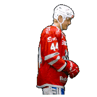 Hockey Del2 Sticker by Eisbären Regensburg