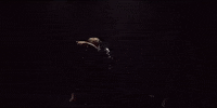 Happy Ferris Wheel GIF by Sylvan Esso