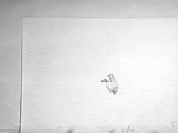 GIF by Patrick Smith