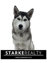 Dog Dasha Sticker by StarkeRealty