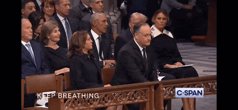 infodumpster_fire giphyattribution kamala baller harris GIF