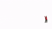 alpha_realty_ny real estate sold for sale agent GIF
