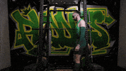 Oregon Athletics GIF by GoDucks