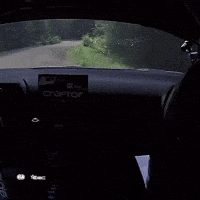 Keep Calm Out Of Control GIF by FIA European Rally Championship