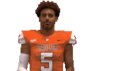 Point Flex Sticker by Carson-Newman Athletics