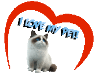 Guinea Pig Love Sticker