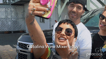 Catalina Wine Mixer GIF by Demi Lovato