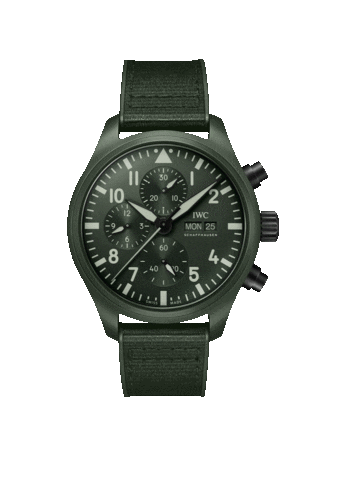 Iwcwatches Sticker by IWC Schaffhausen