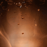 GIF by Nescafé Ecuador