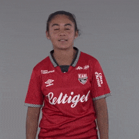 Atletico Madrid Football GIF by EA Guingamp