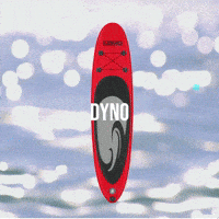 Stand Up Paddle Sup GIF by Lomo Watersport
