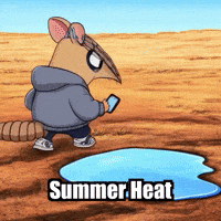 Summer Heat GIF by Chillo Dillo