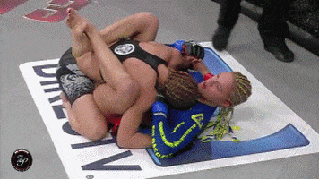 ufc ends GIF