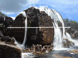 Enjoy Lol GIF by FranchiseONE.de