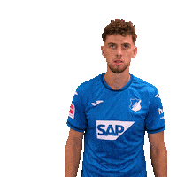Sport Bundesliga Sticker by TSG Hoffenheim