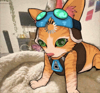 ikadakat overwatch jetpack cat overwatch meme GIF