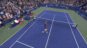 Us Open Tennis Sport GIF by US Open