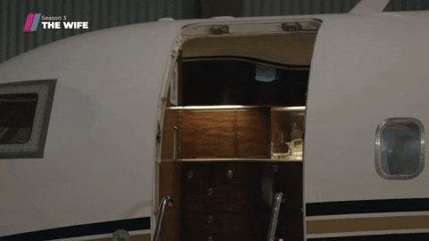 Private Jet Swag GIF by Showmax