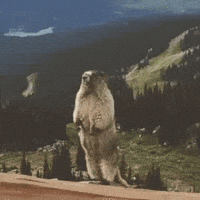 minutes spending GIF