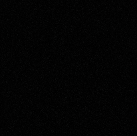 Fly High Comma GIF by Comma_Brandstrategists