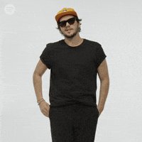 nvdes no GIF by Spotify