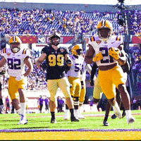 College Football GIF by LSU Tigers