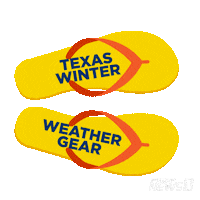Flip Flops Texas Winter Sticker by Spectrum News NY1
