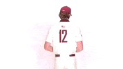 GIF by Lafayette Leopards