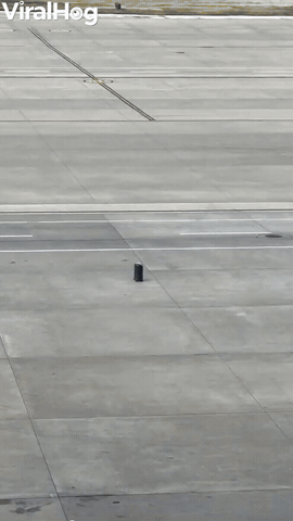 Runaway Luggage Rolls Across Airport Ramp